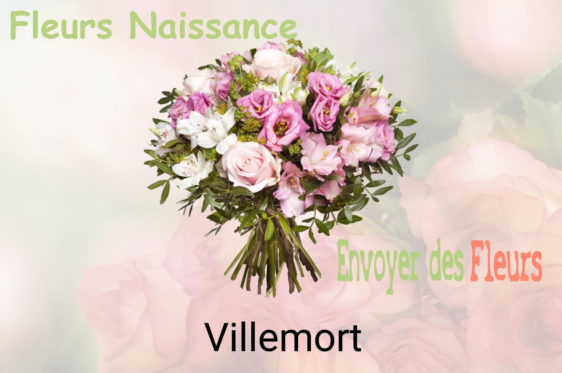 Bouquet de fleurs de naissance livré à Villemort