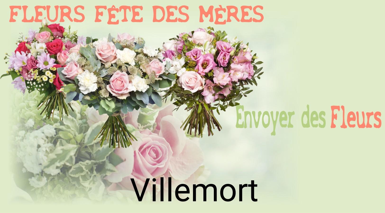 Bouquet de Fête des Mères livré à Villemort